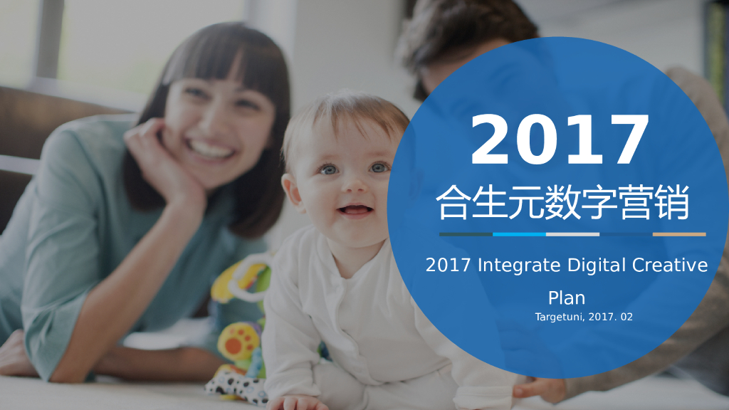 2017合生元数字营销- FA