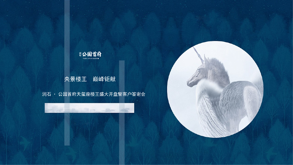 2018润石公园首府天玺座楼王盛大开盘暨客户答谢会策划案