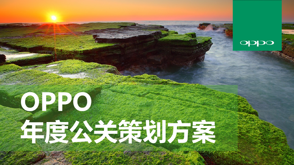 OPPO年度公关传播方案-博雅公关