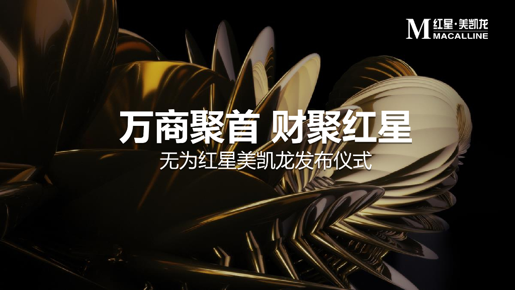无为红星美凯龙发布仪式策划案：万商聚首 财聚红星