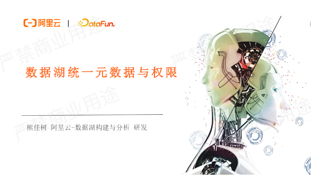 阿里云：数据湖统一元数据与权限