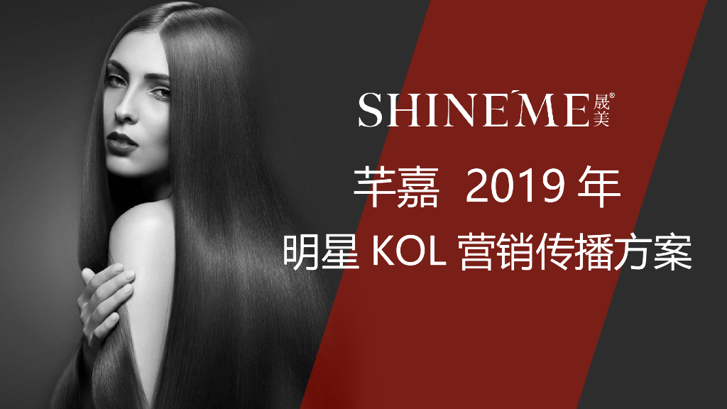 2019立白芊嘉明星KOL营销计划