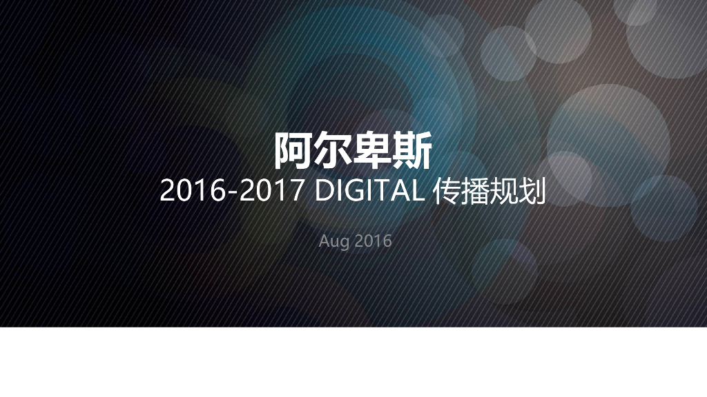 阿尔卑斯 2016-2017 DIGITAL传播规划方案