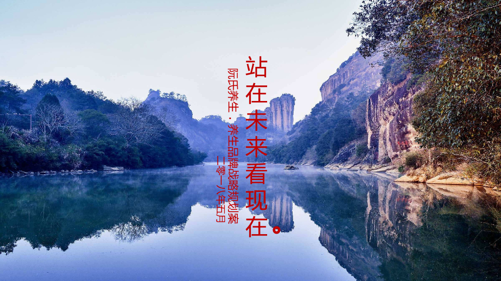 2018阮式养元品牌战略规划