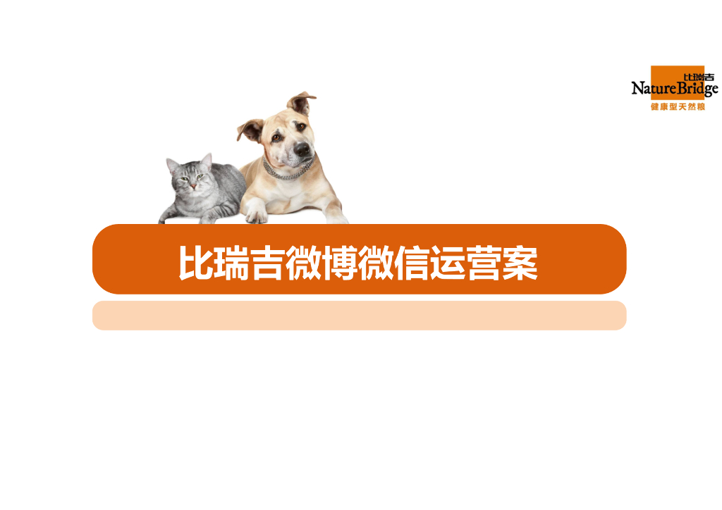 比瑞吉双微运营方案