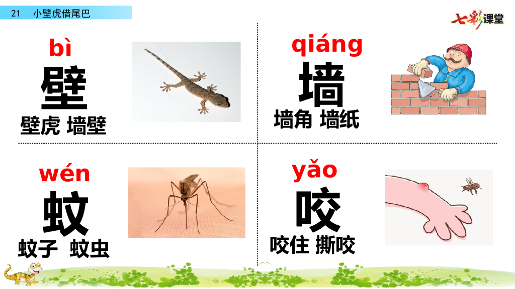 部编版一年级语文下册21 小壁虎借尾巴_第6页