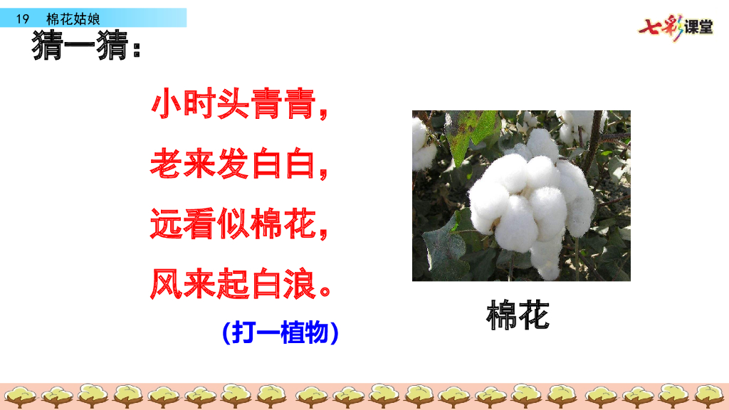 部编版一年级语文下册19 棉花姑娘