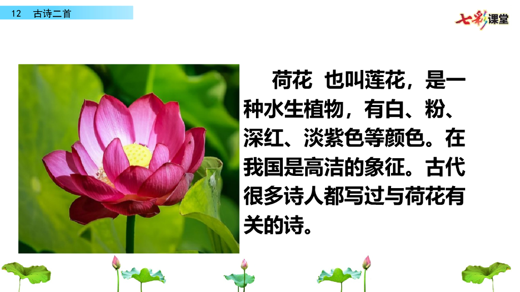 部编版一年级语文下册12 古诗二首_第6页