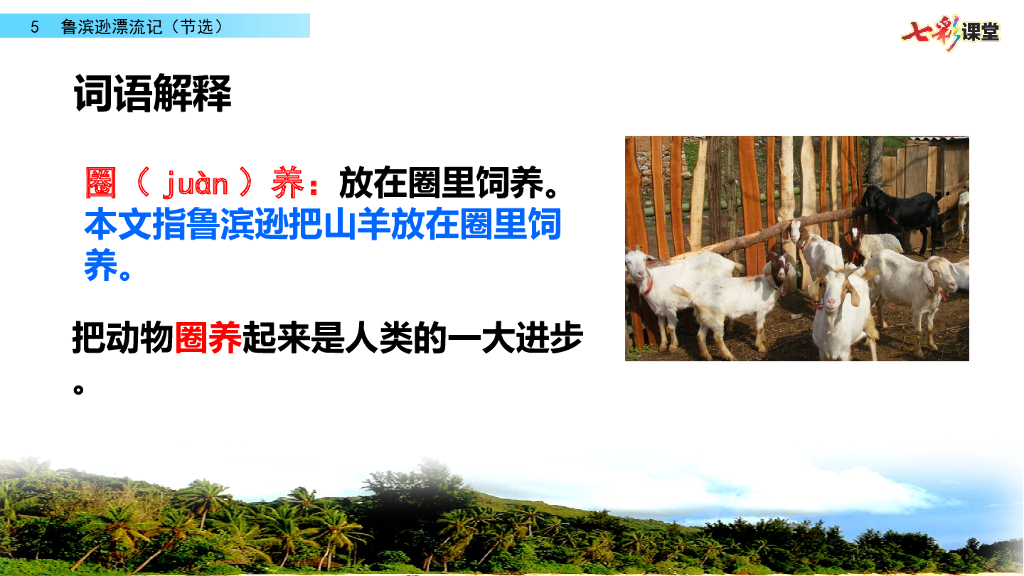 部编版六年级语文下册5 鲁滨逊漂流记（节选）_第9页