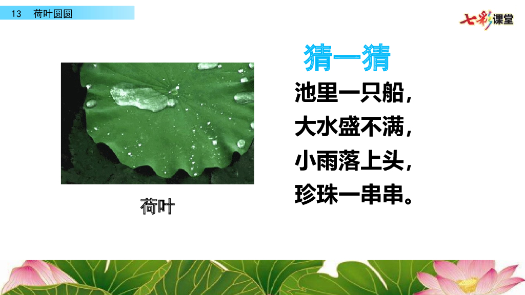 部编版一年级语文下册13 荷叶圆圆