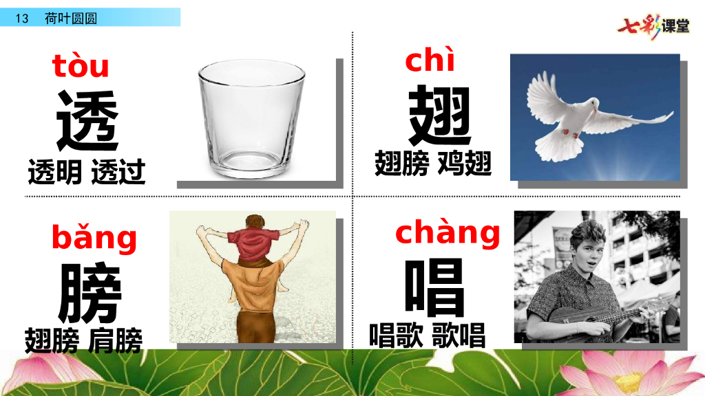 部编版一年级语文下册13 荷叶圆圆_第9页