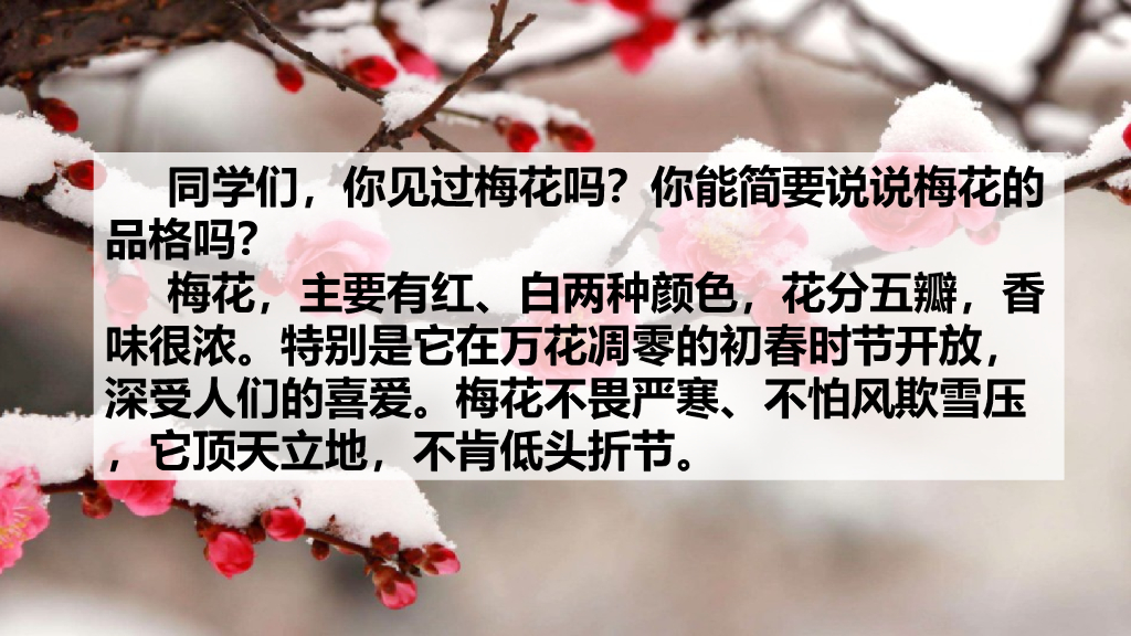 部编版五年级语文下册4 梅花魂