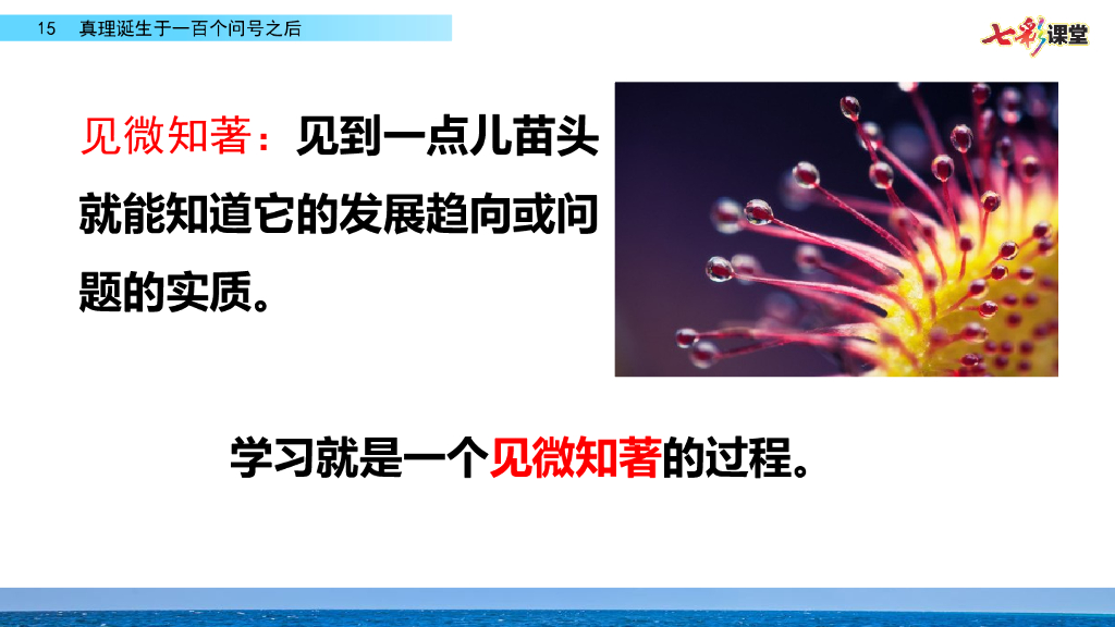 部编版六年级语文下册15 真理诞生于一百个问号之后_第7页