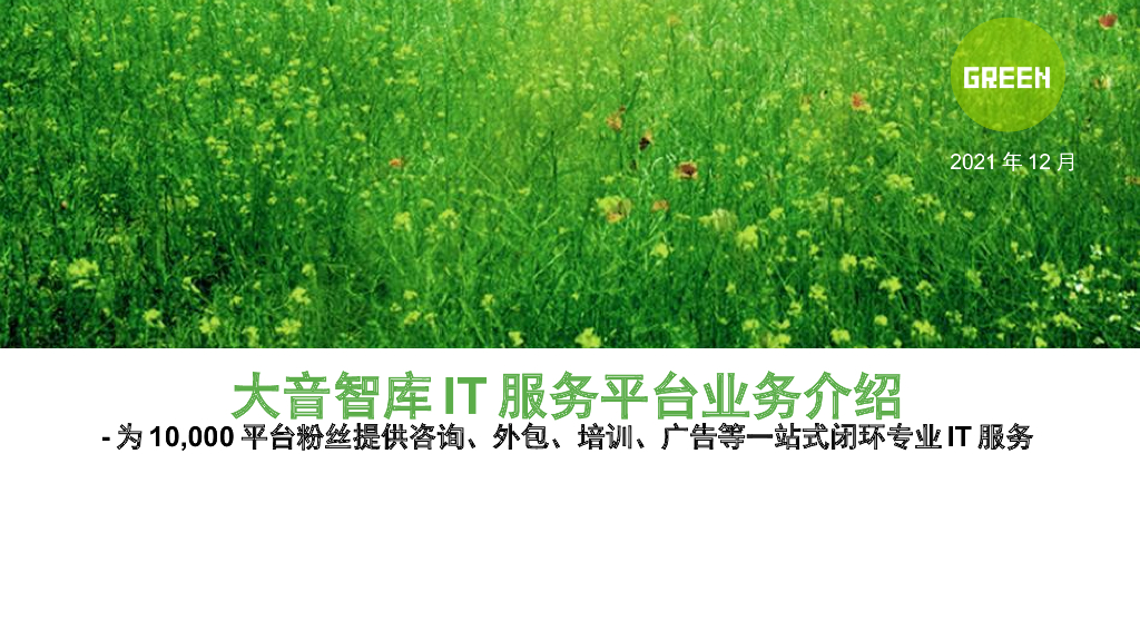 大音智库IT服务平台介绍