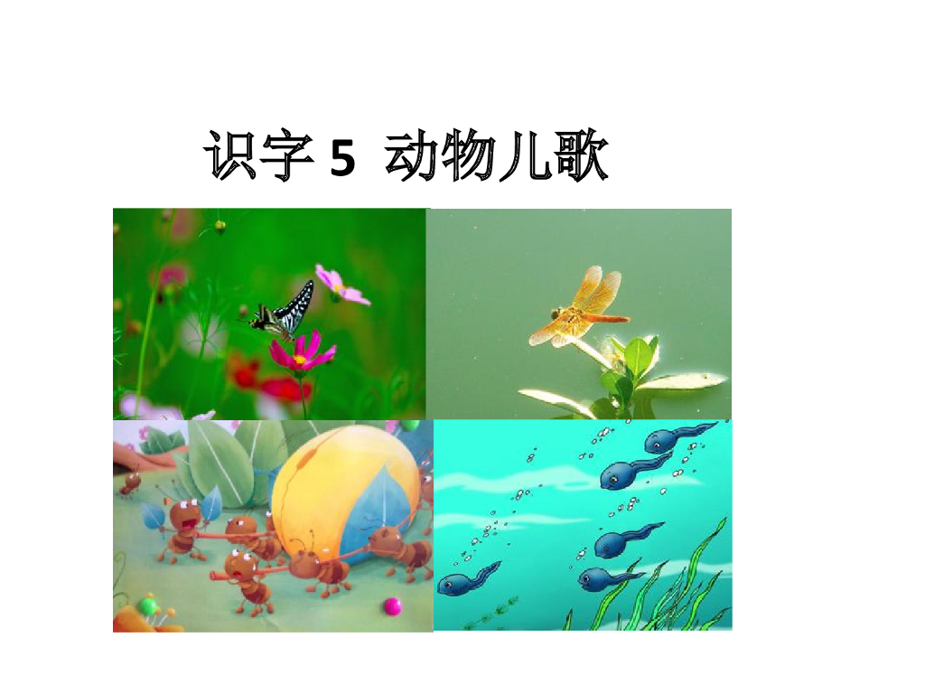 识字5 动物儿歌