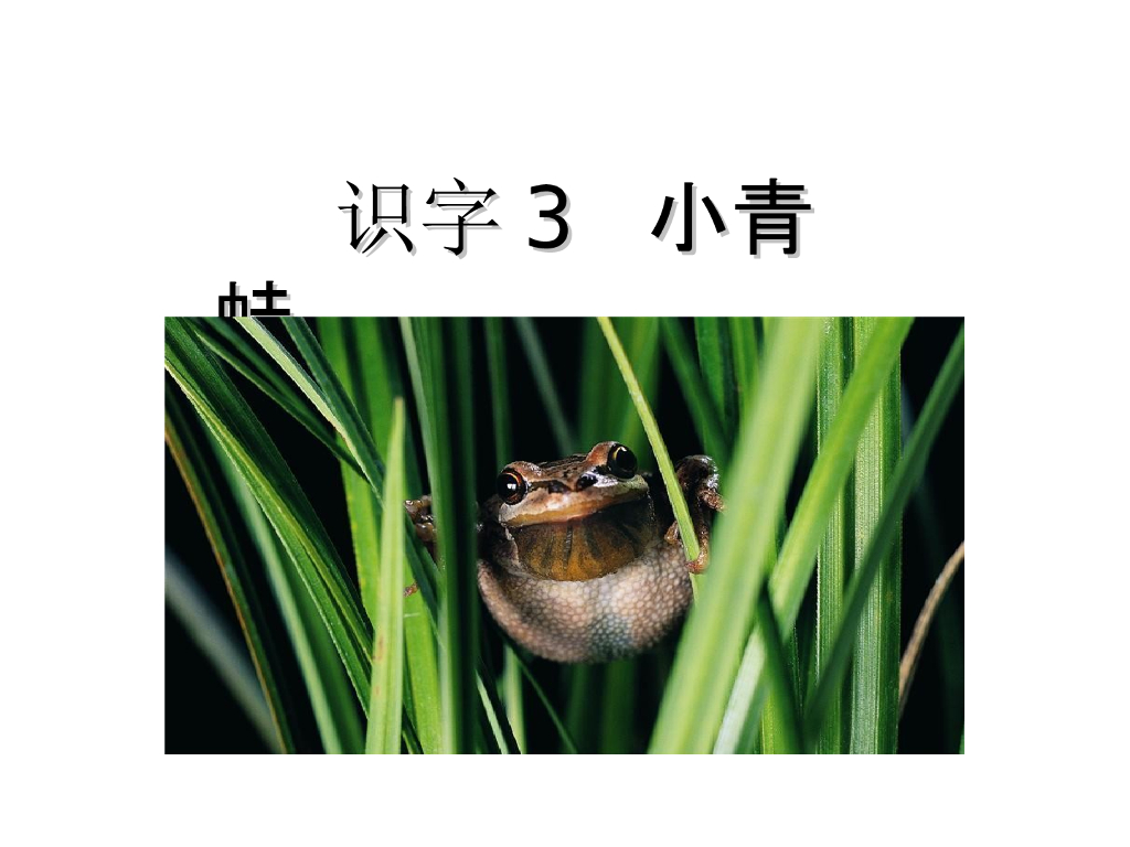 识字3 小青蛙
