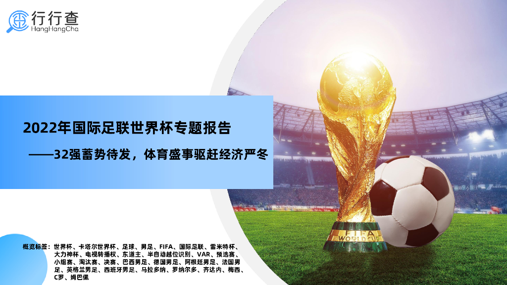行行查：2022年国际足联世界杯专题报告