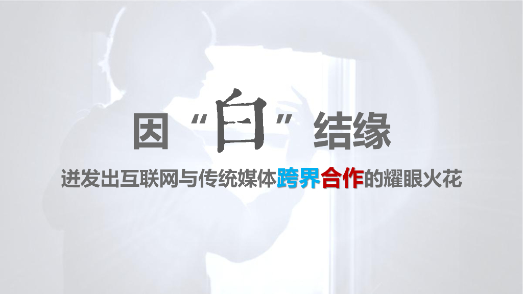 2016白条时尚跨界品牌合作结案_第3页