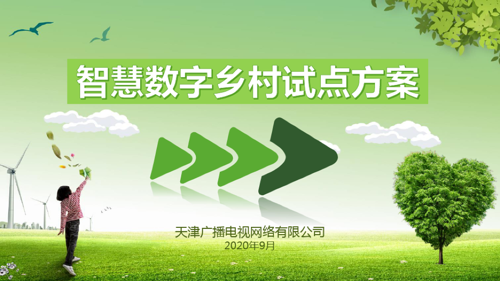 智慧数字乡村试点方案