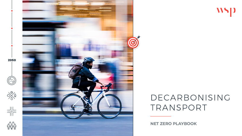 Decarbonising Transport Net Zero Playbook