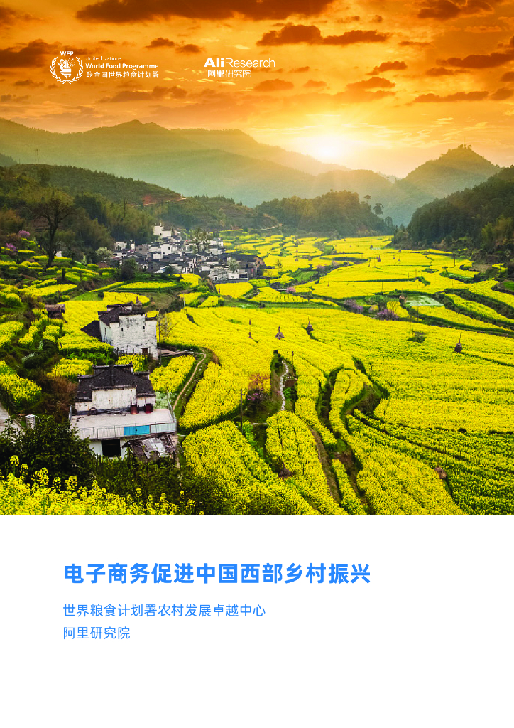 阿里研究院：电子商务促进中国西部乡村振兴报告