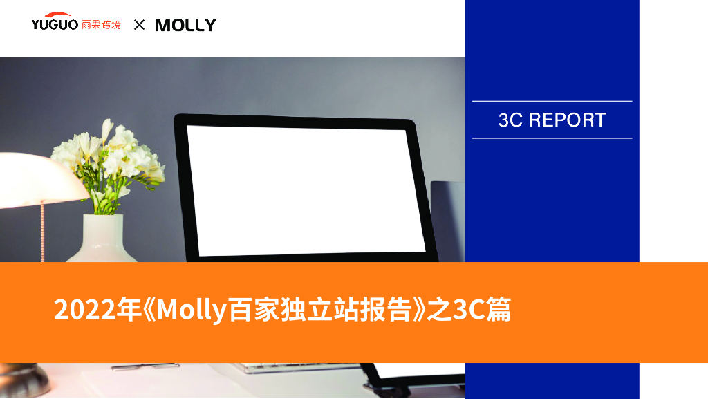 雨果跨境：2022年Molly百家独立站报告之3C篇
