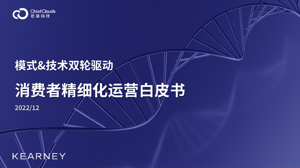 科尔尼：模式&技术双轮驱动 消费者精细化运营白皮书