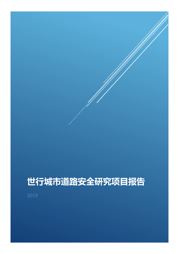 世行城市道路安全研究项目报告
