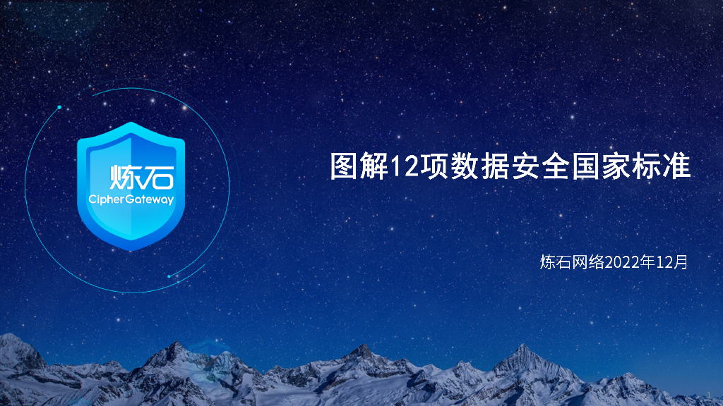 炼石网络：图解12项数据安全国家标准