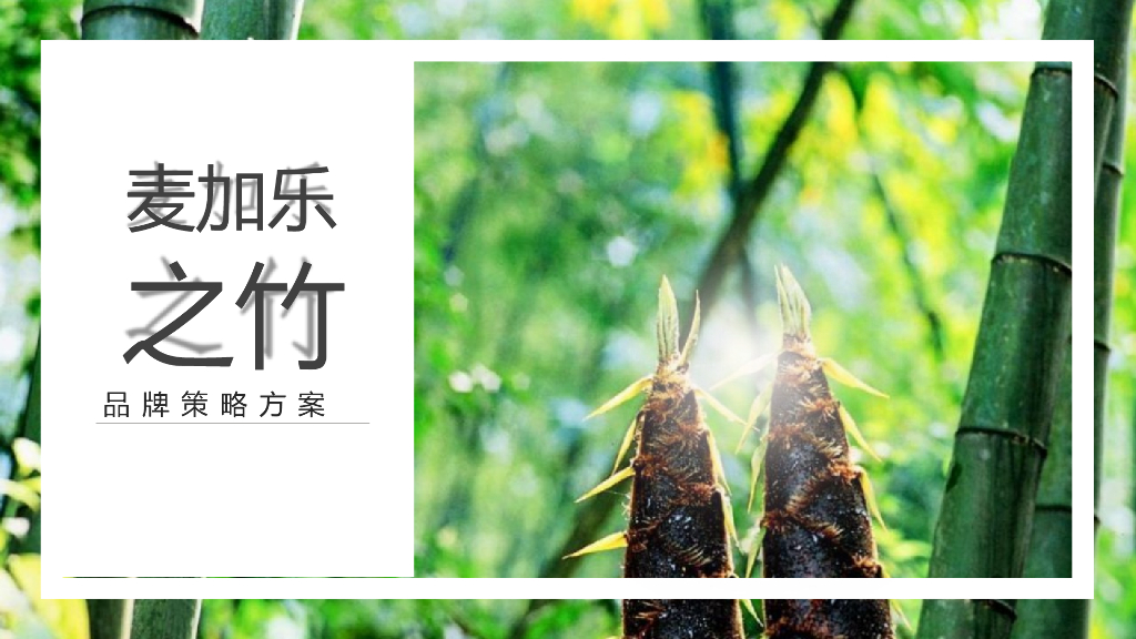 2021饼干品牌竹笋饼干品牌策略全案-118P