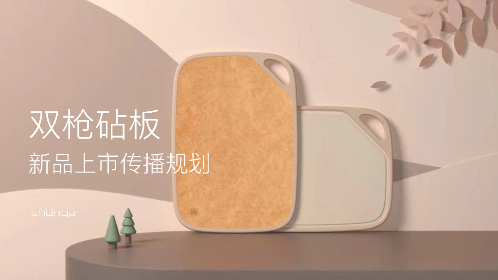 2021新品上市传播方案