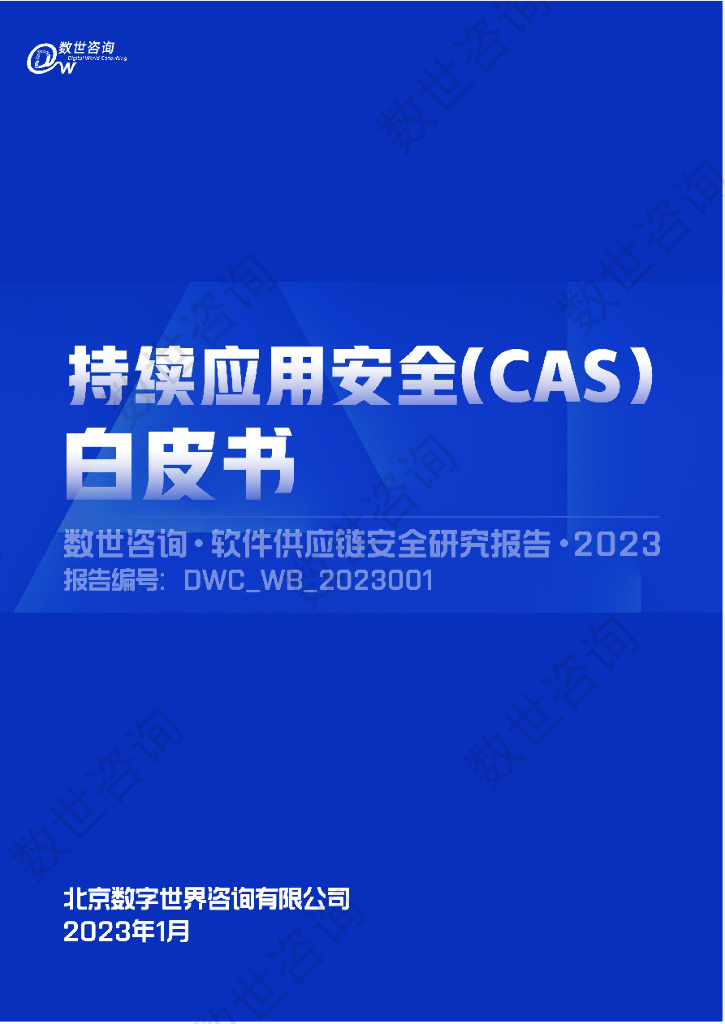 数世咨询：持续应用安全(CAS)白皮书