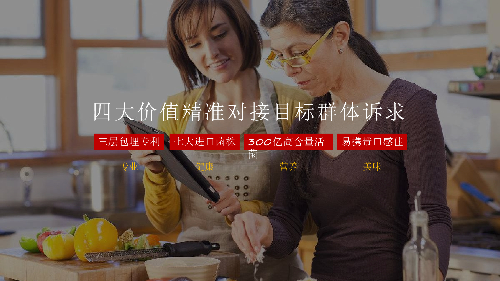 乐力数字营销策略方案_第4页