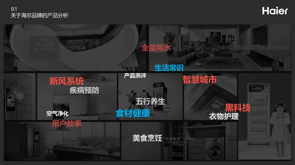 家电品牌海尔Haier品牌全年营销推广策略方案_第5页