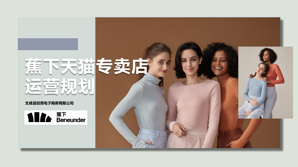 2020服装品牌天猫专卖店运营规划方案