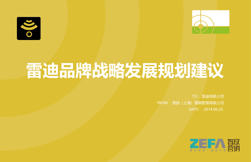 ZEFA智放营销：雷迪品牌战略发展规划建议