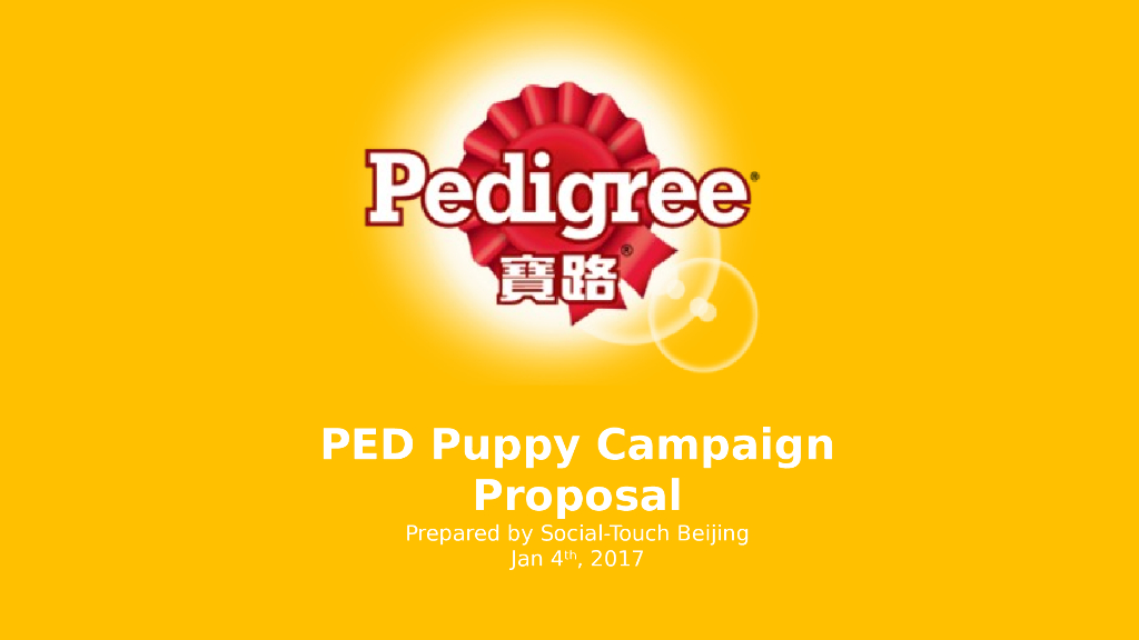 宝路Puppy Campaign Proposal
