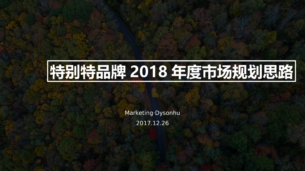 特别特品牌2018年度市场规划思路