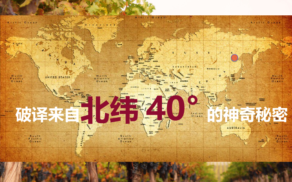 葡缇泉品牌定位报告