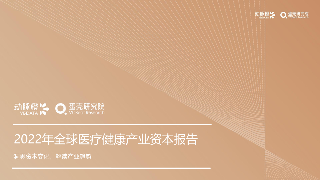 动脉橙：2022年全球医疗健康产业资本报告