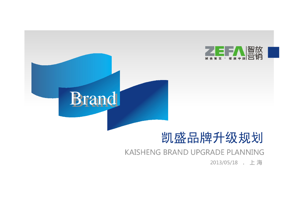 ZEFA智放营销：凯盛品牌升级规划方案