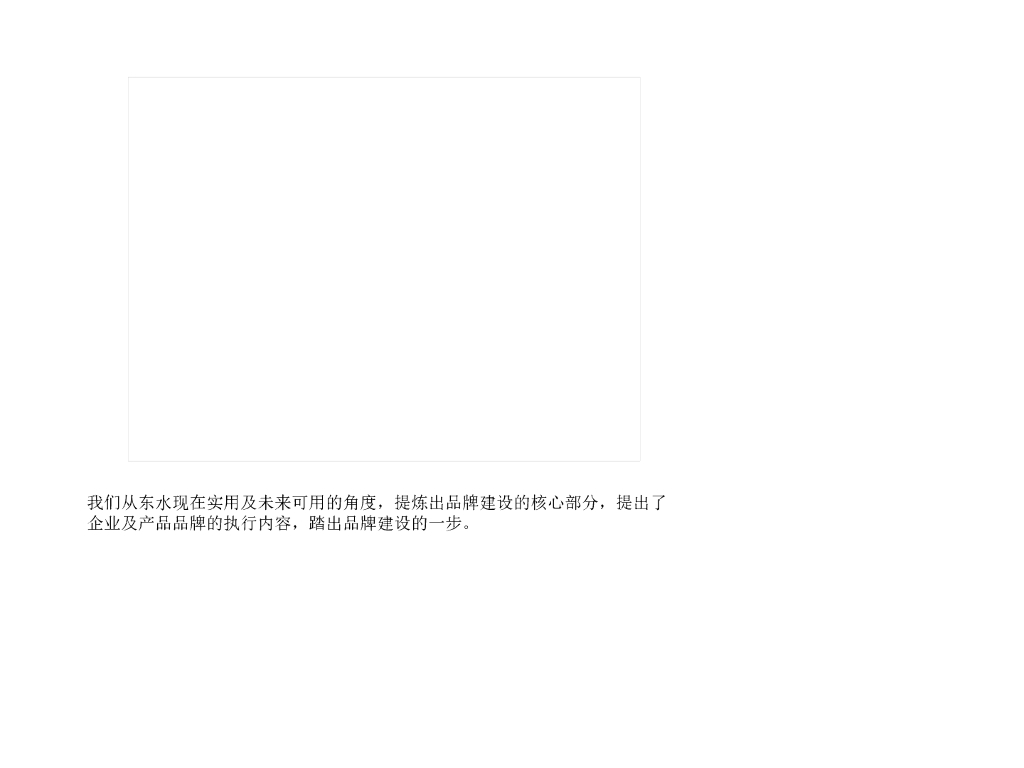 东水品牌规划报告