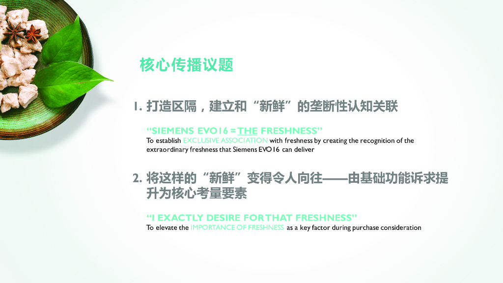 西门子冰箱产品上市数字营销方案_第6页