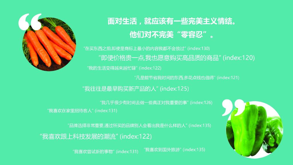 西门子冰箱产品上市数字营销方案_第9页