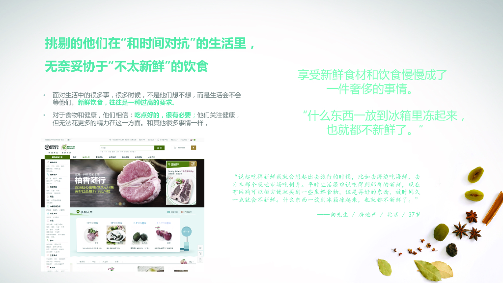 西门子冰箱产品上市数字营销方案_第10页