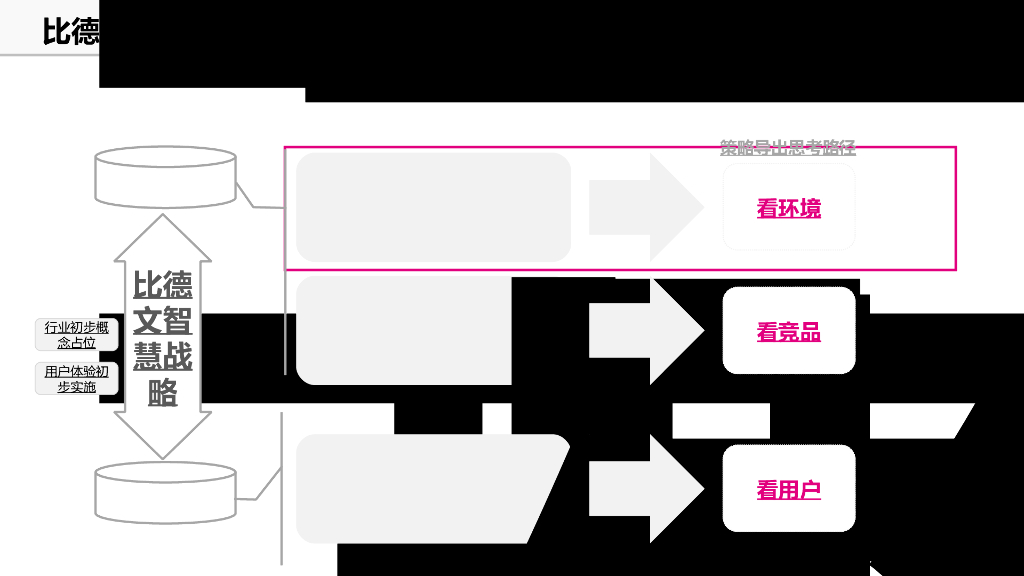 比德文智慧电动车数字营销方案_第9页