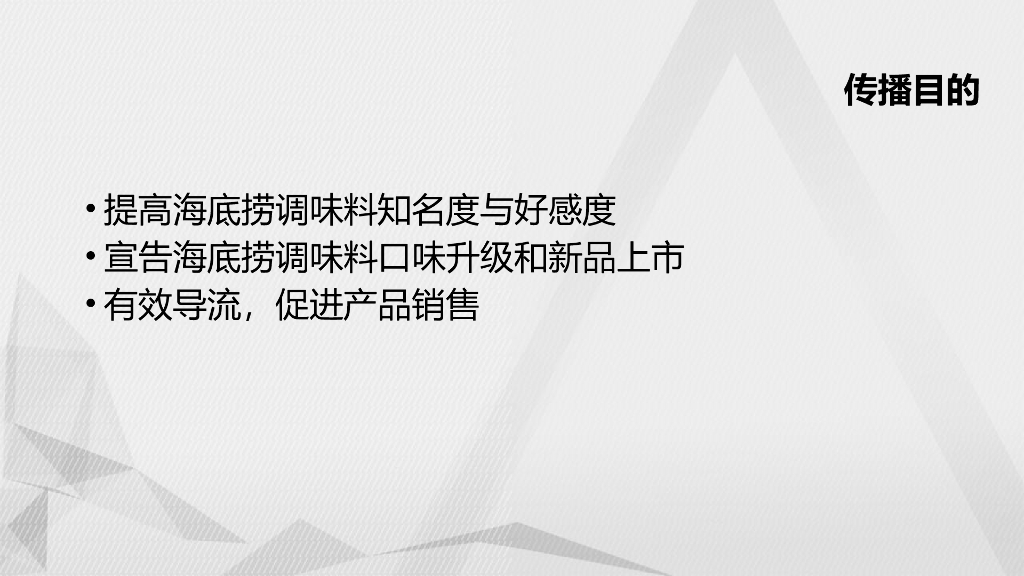 海底捞调味料新品上市传播方案_第2页