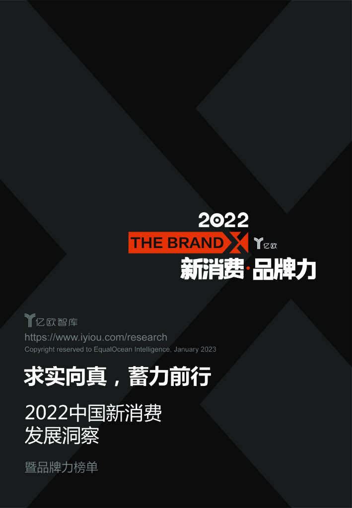 亿欧智库：2022中国新消费发展洞察暨品牌力榜单