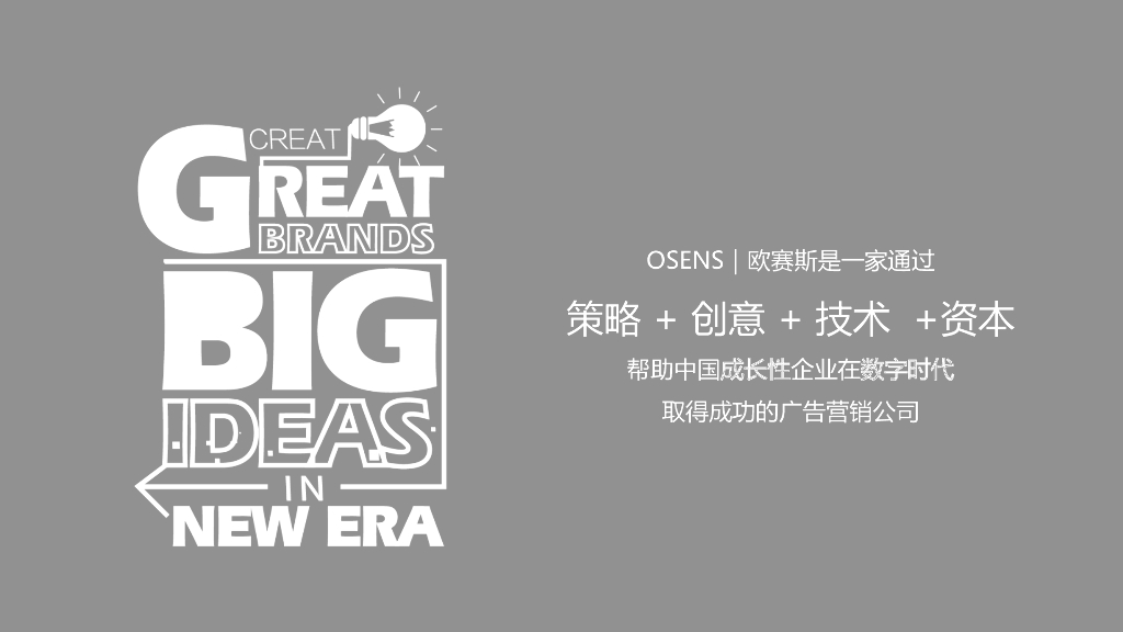 数字时代大品牌：欧赛斯数字营销大策略_第2页