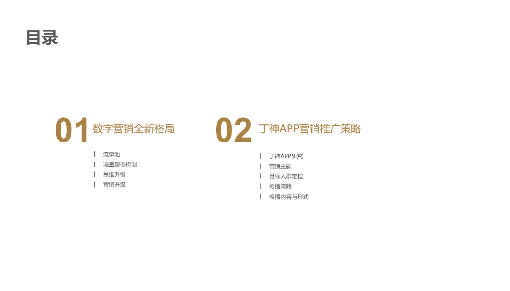 欧赛斯：丁神APP数字营销推广方案_第3页